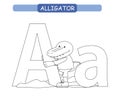 Letter A and funny cartoon alligator. Animals alphabet a-z. Cute zoo alphabet in vector for kids learning English vocabulary. Colo Royalty Free Stock Photo